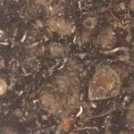 Brown-Fossil