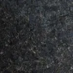 Labrador-Black